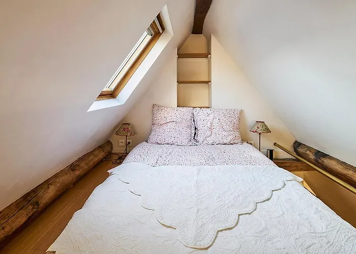 Saint Germain Flat Apartment Paris